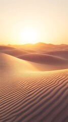 Desert Sunset: The desert landscape comes alive as the sun dips below the horizon, its warm hues painting the sand dunes with a breathtaking glow. A moment of serene beauty and solitude.