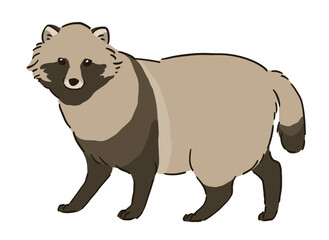 立ち止まるタヌキのイラスト
