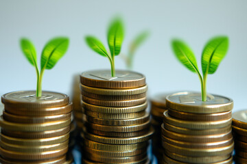 Business growth plan graph illustrating a strong trend in revenue and successful expansion strategies