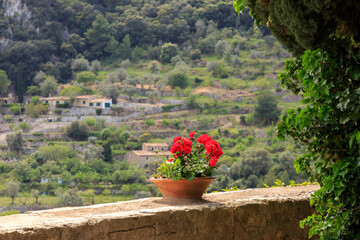 Europe, Spain, Balearic Islands, Mallorca, Valldemossa. The Royal Carthusian Monastery, Real Cartuja. View from grounds.