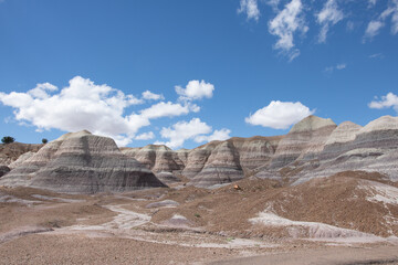 Blue Mesa is a very colorful badland area at Petrified Forest National Park with a nice trail.