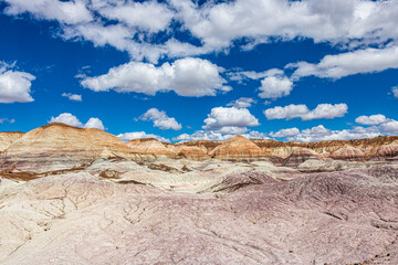 Blue Mesa is a very colorful badland area at Petrified Forest National Park with a nice trail.