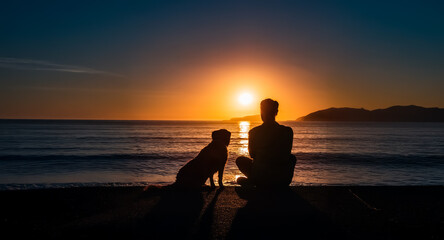 A silhouette of a person and a dog sit side-by-side on a beach, facing the ocean as the sun sets on the horizon, creating a peaceful and serene scene.