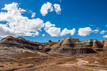 Blue Mesa is a very colorful badland area at Petrified Forest National Park with a nice trail.