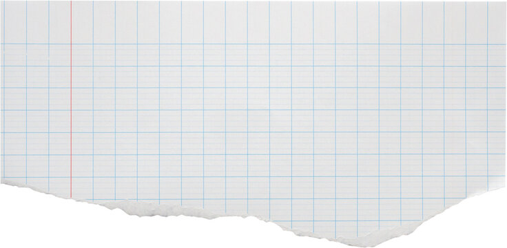 piece of lined graph paper tear isolated on white background