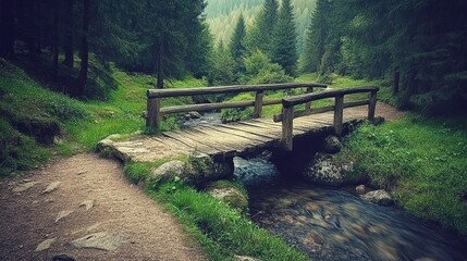 Fototapeta premium Vintage Wooden Bridge over Tranquil Stream in Nature