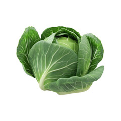 Obraz premium Fresh Green Cabbage Vibrant and Healthy Vegetable