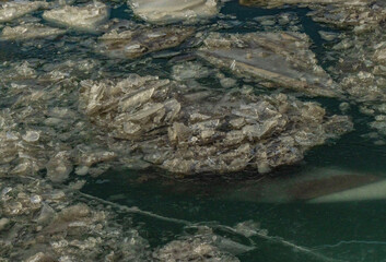 Ice In The Harbour