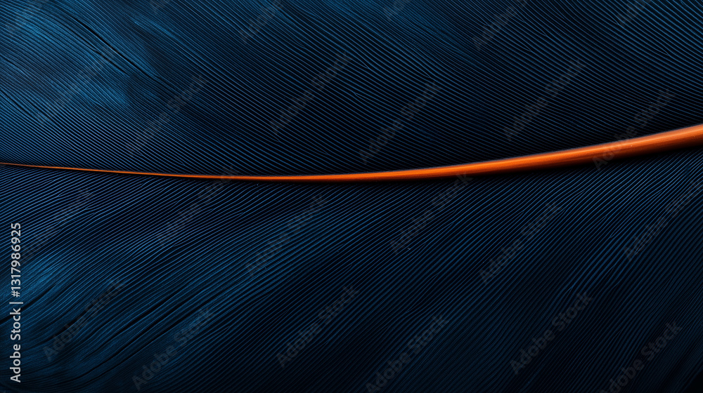 Poster Detailed view of feather with soft textures and natural patterns