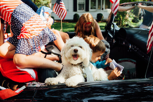 Kids and dog in 4th of July parade