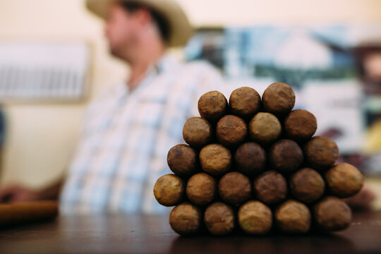 Stack of Cigars at Tobacco Plantation in Cuba