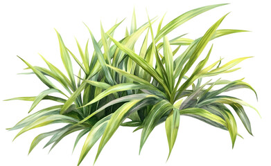Obraz premium Lush Green Foliage with Variegated Leaves Capturing the Essence of Tropical Nature in a Vibrant Outdoor Setting