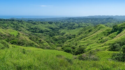 Naklejka premium Panoramic view from the top of a mountain, overlooking lush green meadows and valleys, with clear skies and a serene sense of peace.