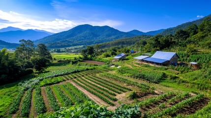 Agricultural Landscape with Fields and Mountains in Background
