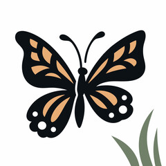 Colorful Butterfly In Vector White Background