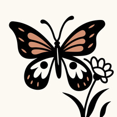 Colorful Butterfly In Vector White Background