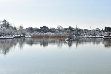 開成山公園　周辺の風景　池