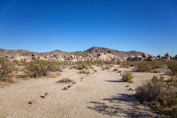 Joshua Tree National Park, California