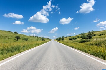 Fototapeta premium Country road stretches into the horizon under a blue sky with fluffy clouds