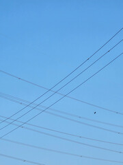 high voltage power lines and blue sky