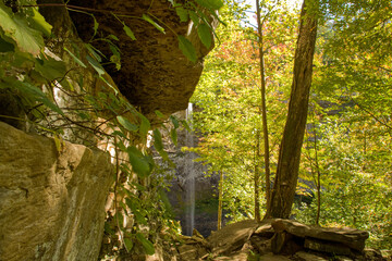 Ozone Falls
