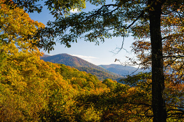 Autumn, Great Smoky Mountains National Park