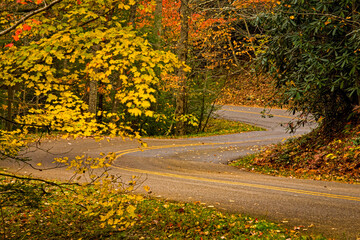 Autumn, Cherokee Orchard Area, Great Smoky Mountains National Park