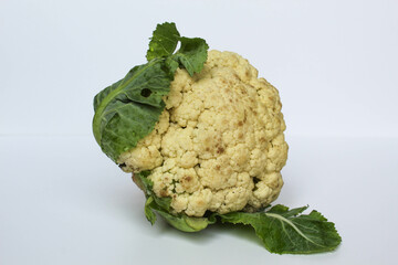 One white cauliflower isolated on white background