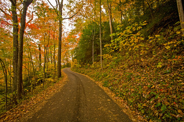 Autumn, Motor Nature Trail, Great Smoky Mountains National Park