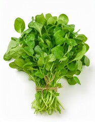 Fototapeta premium Fresh Watercress Bunch
