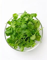 Fresh green salad