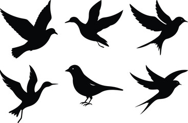 Bird Silhouettes Vector: Flying Birds Clip Art, Black and White Bird Illustration, Bird Graphic Design Elements, Ornithology Design