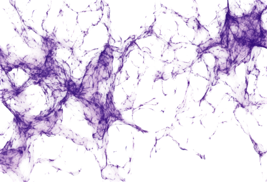 Purple digital art showcasing connected nodes and lines isolated on transparent background