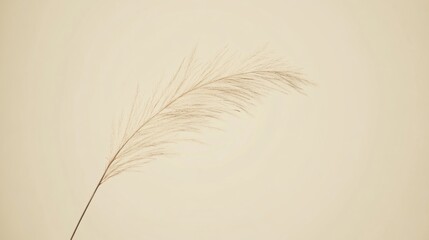 Delicate Soft Grass Stalk with Wispy Blades Against Subtle Beige Background Ideal for Nature Themes and Aesthetic Design Projects