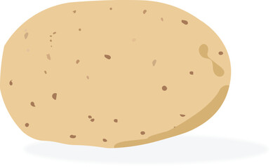 potato vector , vegetable illustration, sweet potato , 