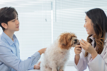 A young man, a dog owner, took his sick dog to a female veterinarian for treatment at an animal hospital.