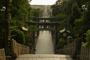 夕方の鳥居と参道