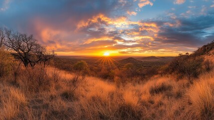 Golden hour illuminates a serene savanna landscape with radiant skies