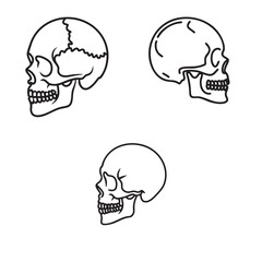 Unique tribal skull with symmetrical bone motifs, sharp black lines, minimal detailing with abstract tribal markings, vector icon style, centered on a white background