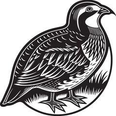 Obraz premium chukar partridge bird silhouette printable design