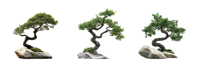 Set of isolated bonsai trees on a transparent background. Zen decor, minimalist design, creative project. Elegant, timeless, symbol. Balance, harmony, nature’s beauty. web.for. Generative Ai content