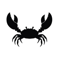 crab isolated on white background