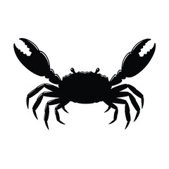 crab isolated on white background