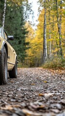 Vintage car autumn forest road trip