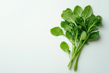 Fresh green arugula leaves bundle against plain background natural lighting a culinary ingredient