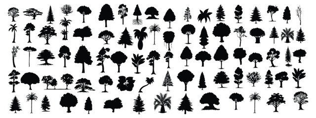 A collection of trees with a white background with a black and white background