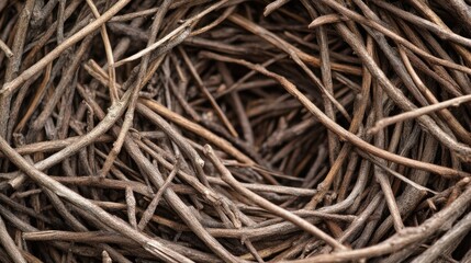 A close up view of a collection of small twigs