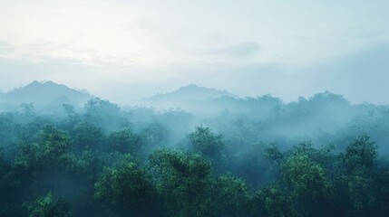 A misty morning scene displaying dense green foliage and distant mountains