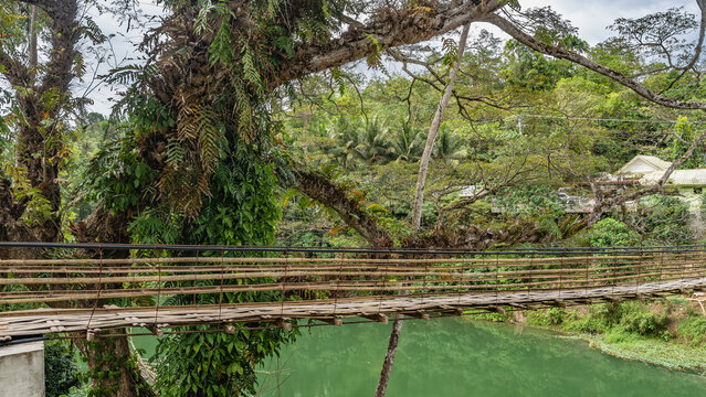 A rickety Bamboo Hanging Bridge over a tropical river. You can see the weaving of the pedestrian path, the railing. Lush green vegetation. Philippines. Bohol. Sipatan River. Sevilla