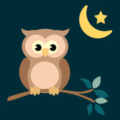 owl on branch over night sky